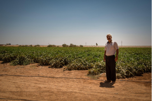 Farmer Aymad Qzaq in front of his eggplant field in Jordan, @Seersa Abaza / IWMI